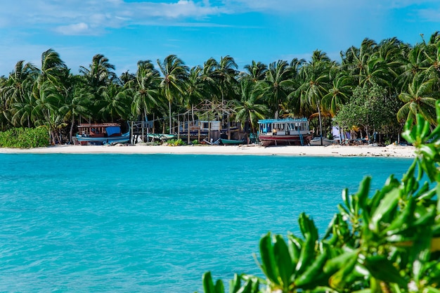 Maldive Islands Sand Beach en uitzicht op groene palmbladeren