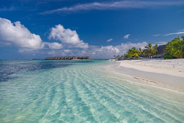 Maldiven eiland kust. Tropisch paradijs, zeelagune, kustzandpalmen. Geweldig landschap