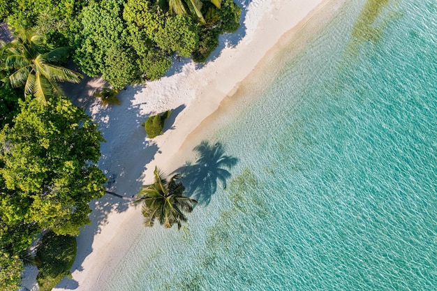 Maldiven luchtfoto eiland landschap. Tropisch strand kust van drone. Exotische lagunebaai, palmbomen