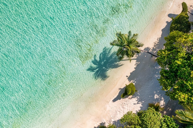 Maldives aerial island landscape. Tropical beach coast drone view. Exotic lagoon bay palm trees