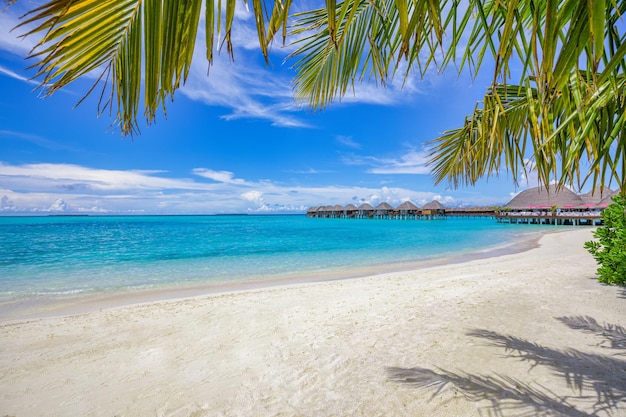 Maldives beach landscape, idyllic background. Summer vacation and holiday, beach resort in tropics