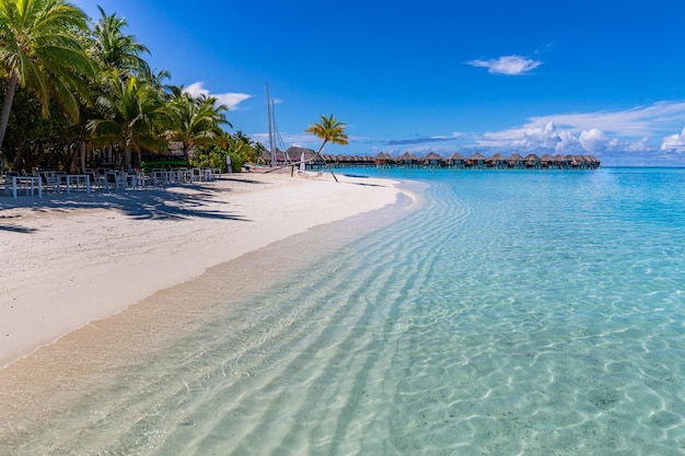 Maldives beach with white sand, turquoise ocean lagoon, green palm trees and blue sky with clouds