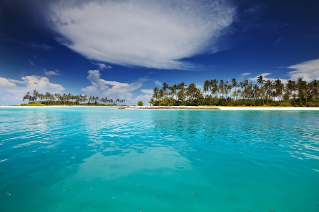 Maldives beach