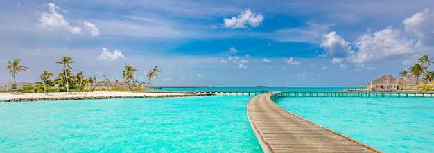 몰디브 섬 해변 바다 석호 해변 긴 목조 부두 통로 야자수 열대 휴가