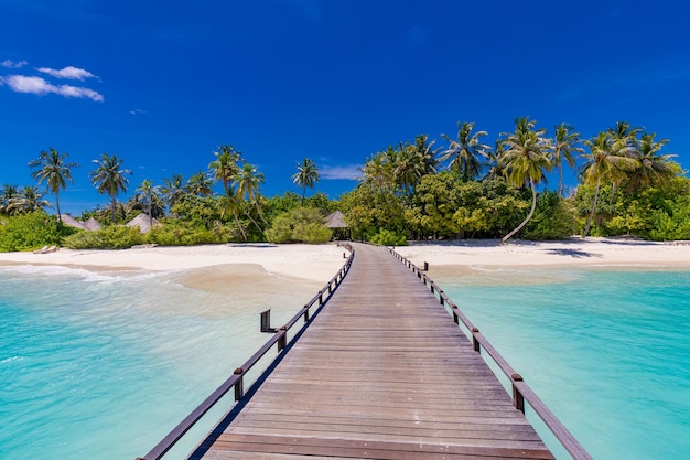 Maldives island beach Tropical landscape of summer scenery white sand palm trees Luxury travel