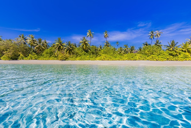 몰디브 섬 해변 여름 풍경의 열대 풍경 하얀 모래 야자수 럭셔리 여행