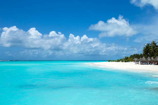 Maldives island with white sandy beach and sea