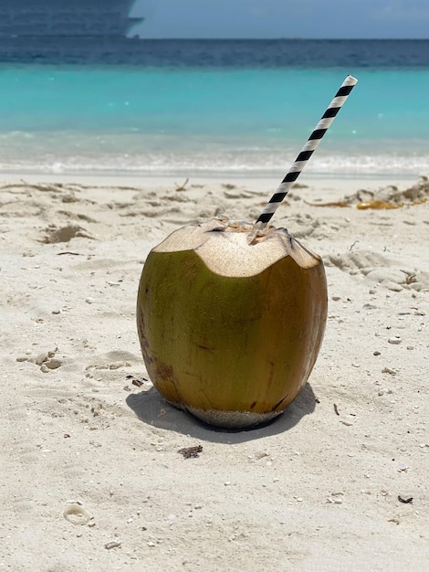 Photo maldives ocean sea beach palm trees