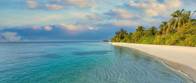 Maldives tropical beach background summer relax landscape, white sand calm sea with palm trees pano
