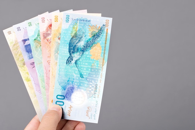 Maldivisch geld in de hand op een grijze achtergrond