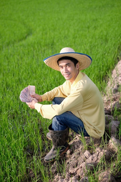 Un agricoltore asiatico maschio indossa una maglietta gialla seduto in un campo di riso con banconote tailandesi sorridenti.