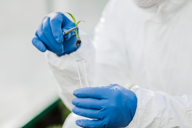 A male biochemist holds a test tube with a plant for study and analysis.