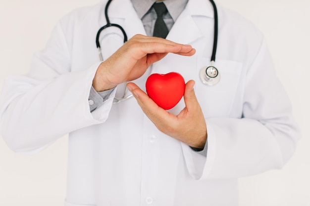 The male cardiologist doctor holding heart on white background