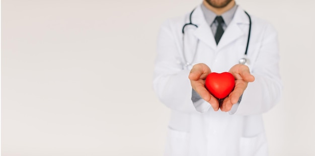 The male cardiologist doctor holding heart with copy space on white background