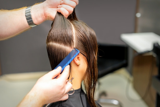 Мужской парикмахер делит женские волосы на пряди с помощью расчески и рук в салоне красоты.