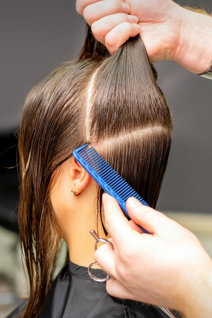 Male coiffeur divides women hair into sections with comb and hands in a beauty salon