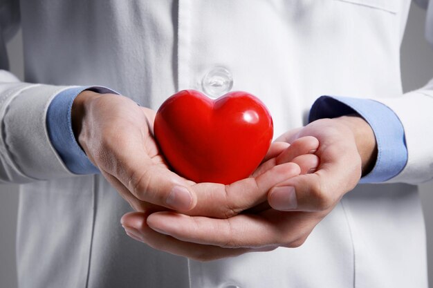 Photo male doctor holding red heart closeup