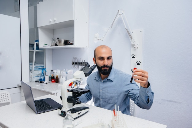 A male doctor in the laboratory studies viruses and bacteria under a microscope. Research of dangerous viruses and bacteria.