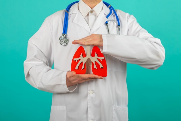 Male doctor with a stethoscope is holding mockup lungs Help and care concept