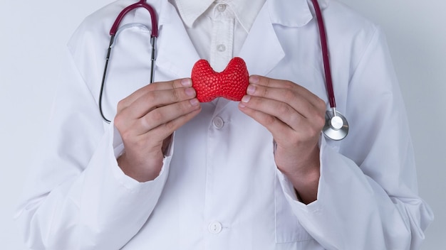 Photo male doctor with a stethoscope is holding mockup thyroid gland help and care concept