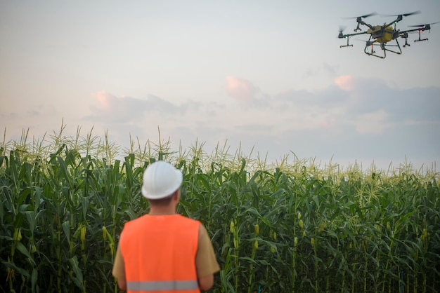 Un ingegnere maschio che controlla il drone che spruzza fertilizzanti e pesticidi su terreni agricoli