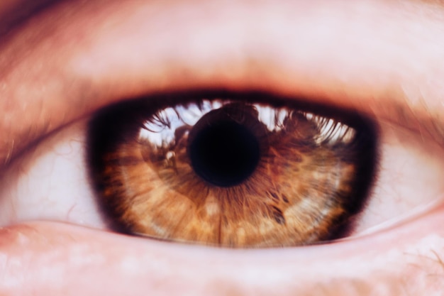 Male eye close up man looks into the frame brown iris in macro