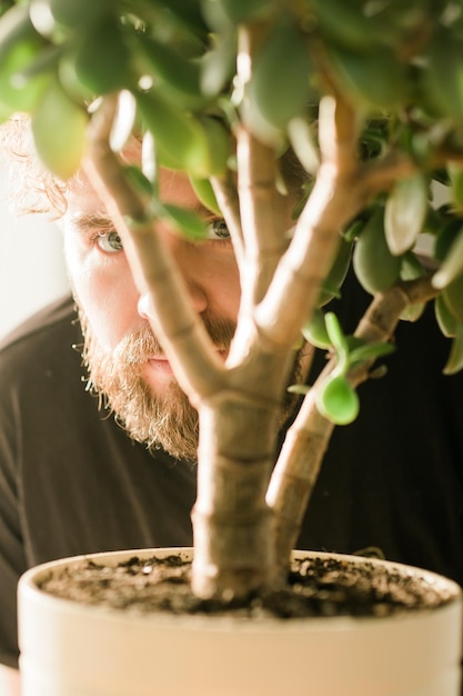 Male eye emerging behind potted plant and man hiding spying and shadowing concept