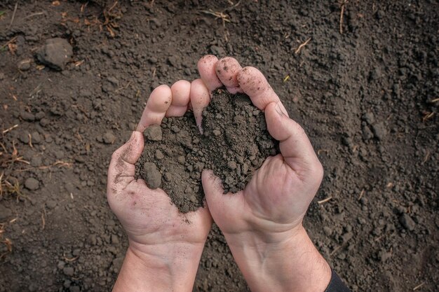 Male farm hands with the earth on the background of soil black soil. Agriculture gardening