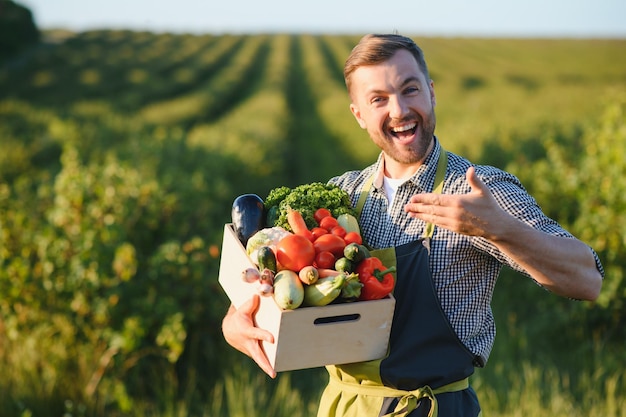 Male farmer holding box with vegetables in field