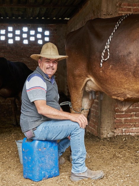 Male farmer preparing for milking