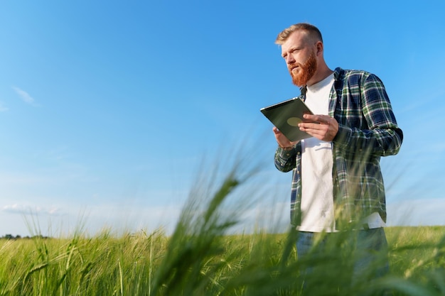 A male farmer with a tablet is standing in a wheat field An agronomist with a beard in a plaid shirt and jeans during an inspection