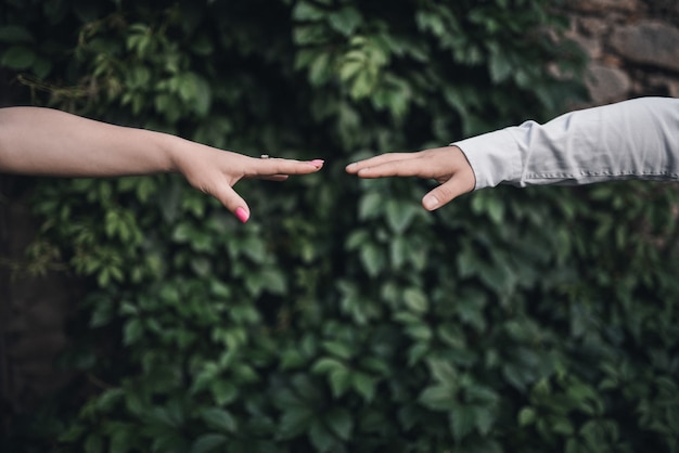 Male and female hand reach each other on a green leafy background