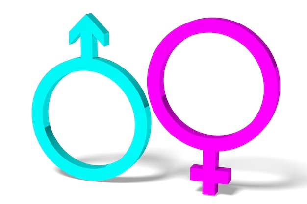 Photo male and female symbols 3d illustration