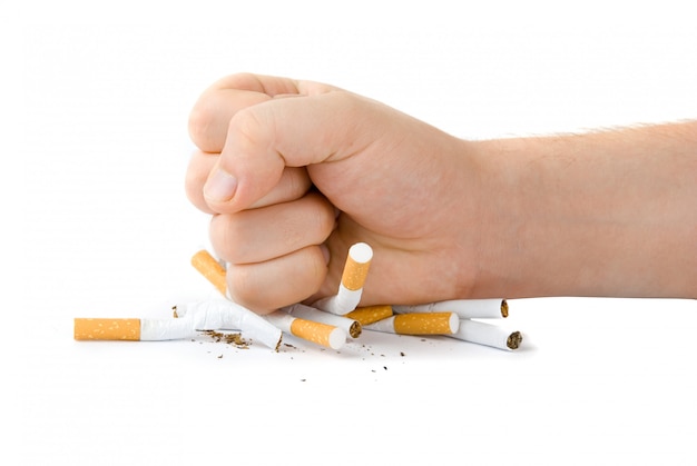 Male fist with many cigarettes isolated on white