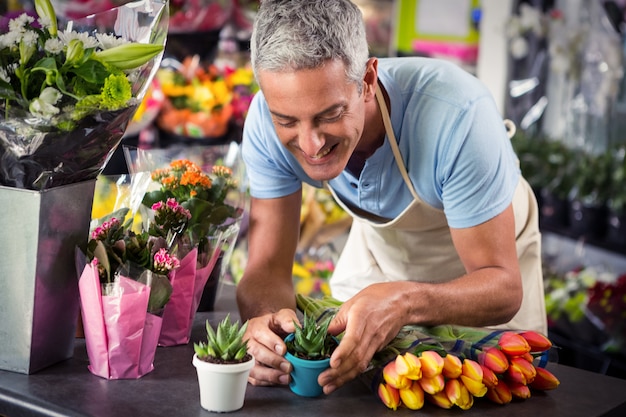 Male florist arranging flower pot