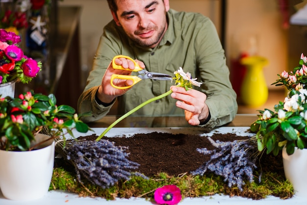 男性の花屋が小さな屋内ベッドガーデンから花を切る