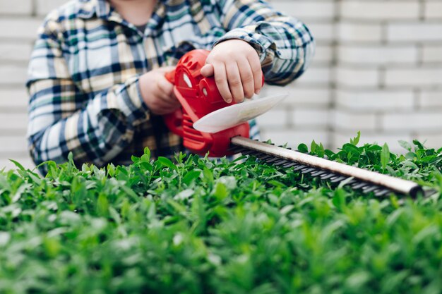 Male gardener cutting the bushes