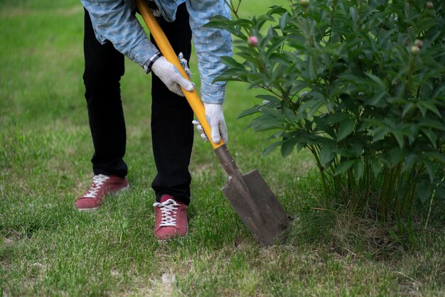 A male gardener digging dirt using yellow shovel