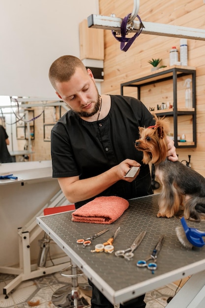 Male groomer brushing hair of Yorkshire terrier dog hair with comb after bathing at grooming salon Woman pet hairdresser doing hairstyle in veterinary spa clinic