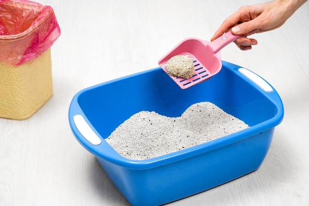 수컷 손은 집에서 분홍색 국자에 클럼핑 벤토나이트 고양이 모래 트레이를 청소합니다. 청결 애완 동물 관리 및 위생 개념