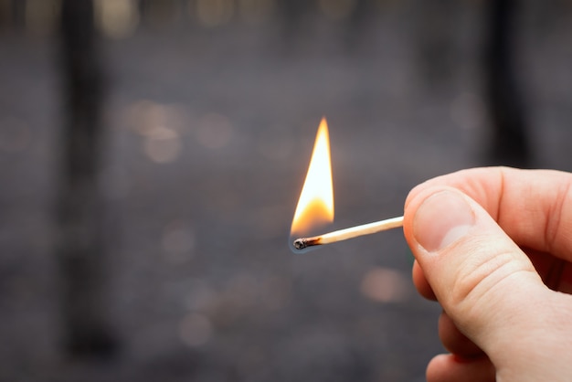 Male hand holding burning match against burned forest