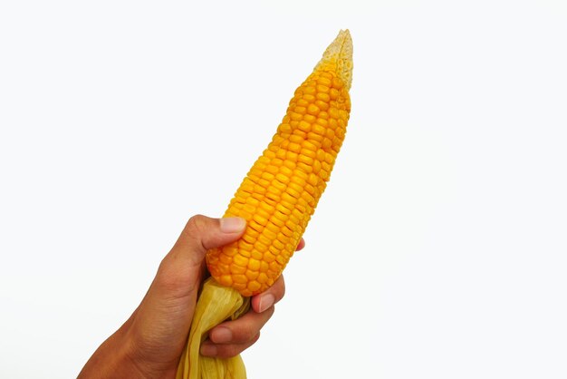 Male hand holding corn on the cob corn on the cob on a white background Simple summer dish