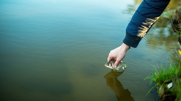 Mano maschio che tiene un pesce sulla superficie dell'acqua