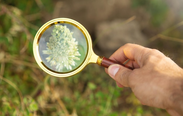 屋外で虫眼鏡を持っている男性の手