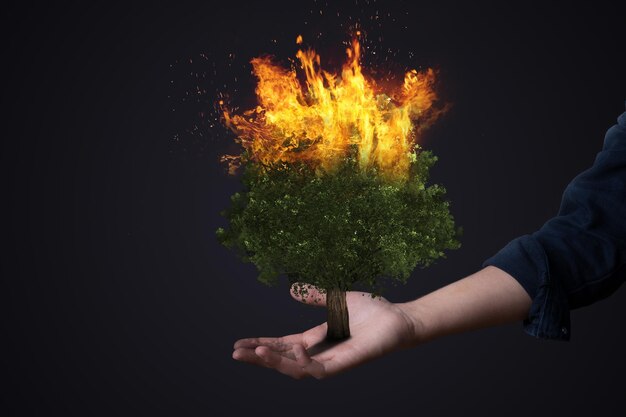 Foto maschio con la mano che tiene un albero in fiamme