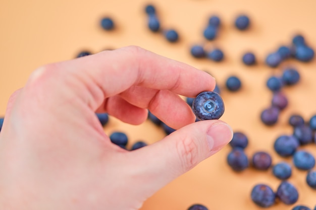 Male hand holds blueberries on an orange background.