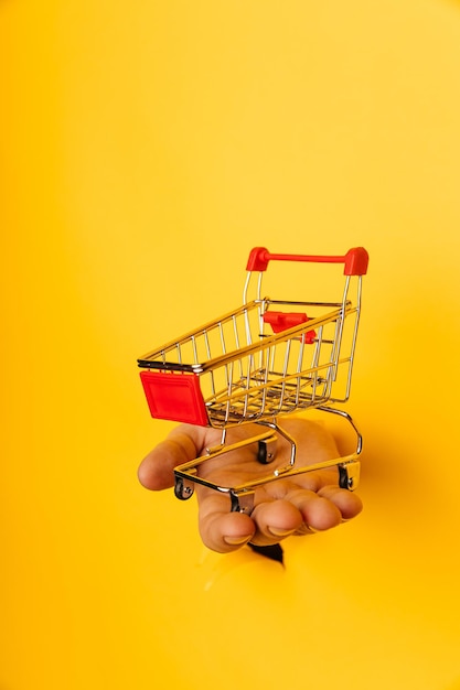 Male hand holds through a hole a mini grocery shopping trolley on a yellow