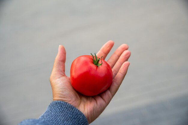 Мужская рука, предлагающая малиновый помидор Концепция здоровья