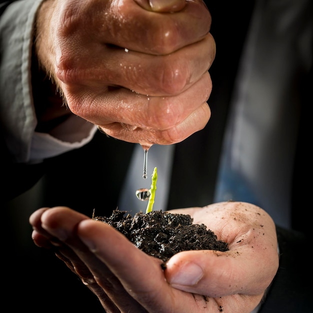 Male hands in a formal suit nurturing and watering a young green sprout