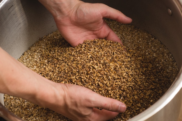 Male hands from which ground malt pours out. good attitude to craft